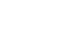 lg-icon