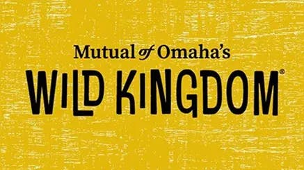 Mutual of Omaha's Wild Kingdom