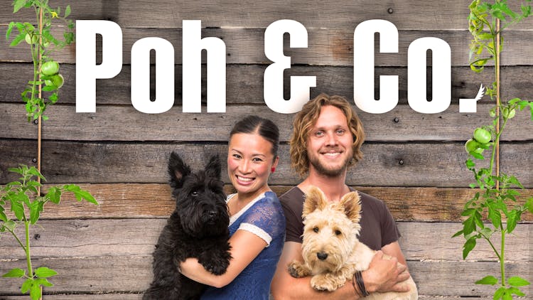 Poh & Co