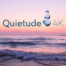 Quietude 4k