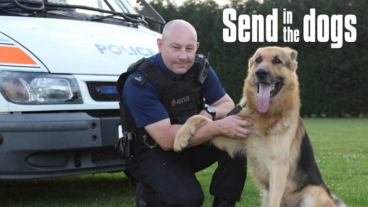 
Send in the Dogs
