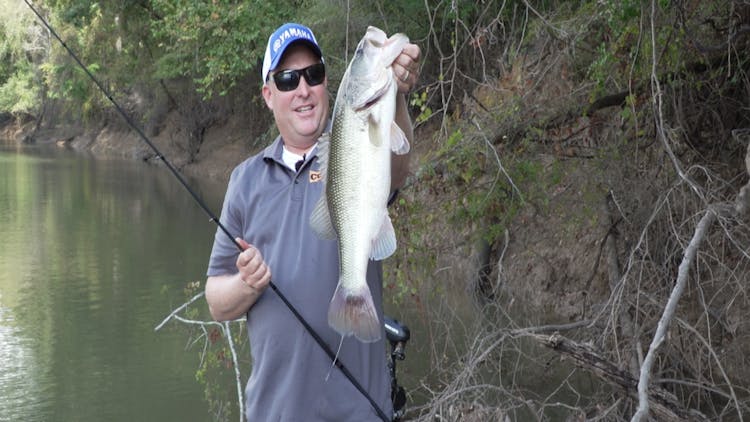 
Catching Bass — Swimming the River
