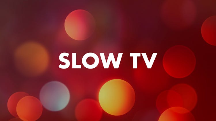 
Slow TV - Cookie Decorating 3
