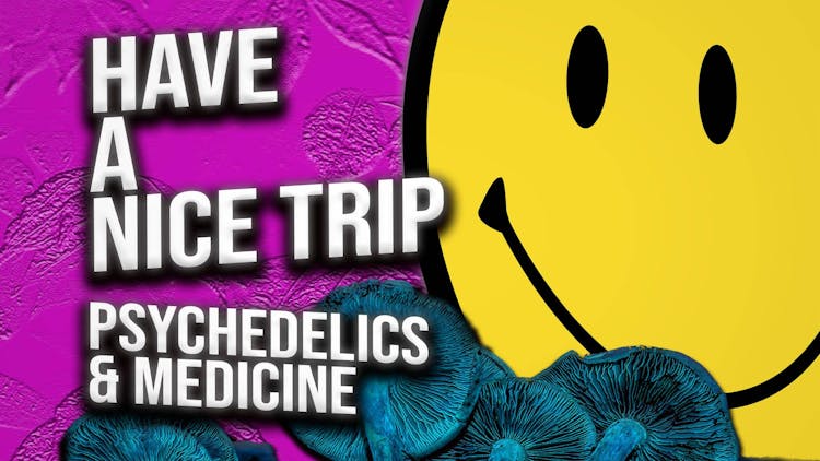 Have a Nice Trip: Psychedelics and Medicine