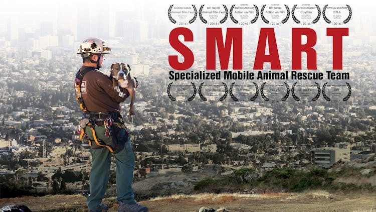 Smart: Specialized Mobile Animal Rescue Team