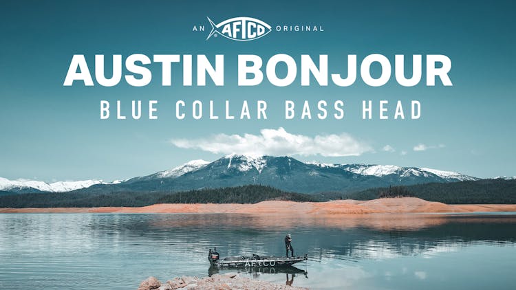 Austin Bonjour – Blue Collar Bass Head